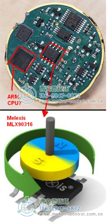 PCB 中心有一顆Melexis 芯片和可能是ARM的MCU